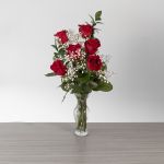 Explorer Roses