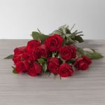 Explorer Roses