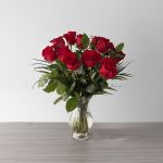 Explorer Roses