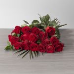 Explorer Roses