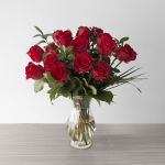Explorer Roses