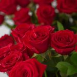 Long Stem Red Roses
