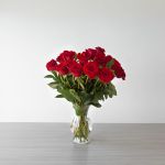 Long Stem Red Roses