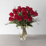 Explorer Roses