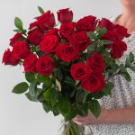 Explorer Roses