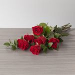 Explorer Roses