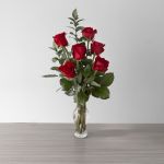 Explorer Roses
