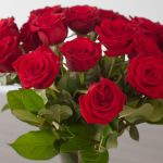 Short Stem Red Roses