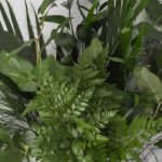 Mixed Standard Greens Bouquet