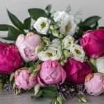 Pretty in Pink (Peonies)