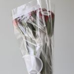 Alstroemeria Red Delight