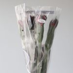 Alstroemeria Perfection Romance Red
