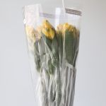 Alstroemeria Perfection Voyager Yellow