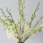white Dandobrium Orchids (Bulk DIY)