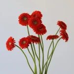 Gerpom Fozzie (Bulk DIY)