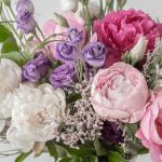 Pretty in Pink (Peonies)