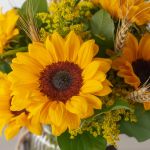 Sunshine Sunflowers