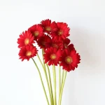 Mini Gerbera Choiz (Bilk DIY)