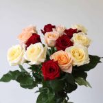 Roses Assorted Colors 40cm (Bulk DIY)