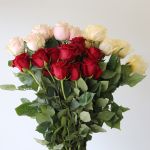 Roses Assorted colors 50cm (Bulk DIY)