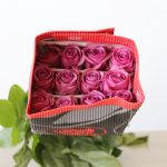 Rose Cool Water 50cm (Bulk DIY)