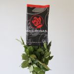 Roses Assorted Colors 40cm (Bulk DIY)