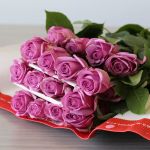 Rose Cool Water 50cm (Bulk DIY)