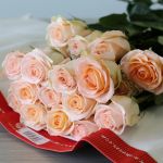 Rose Tiffany 50cm (Bulk DIY)
