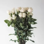 White Rose Vendela 50cm (Bulk DIY)