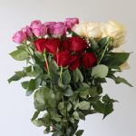 Roses Assorted Colors 40cm (Bulk DIY)