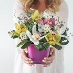 Orchid Symphony