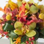 Symphonie d'orchidée automnale