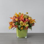Symphonie d'orchidée automnale