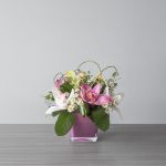 Orchid Symphony