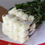 Rose Playa Bianca 50cm (En Vrac)