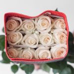 White Rose Vendela 50cm (Bulk DIY)
