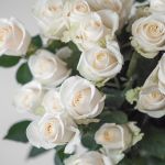 White Rose Vendela 50cm (Bulk DIY)