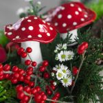Enchanted Forest