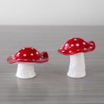 Enchanted Forest