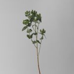Spray Hypericium Green