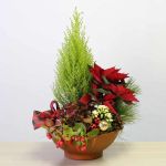 Holiday Gardens