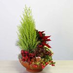 Holiday Gardens