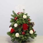 Oh Christmas Tree!