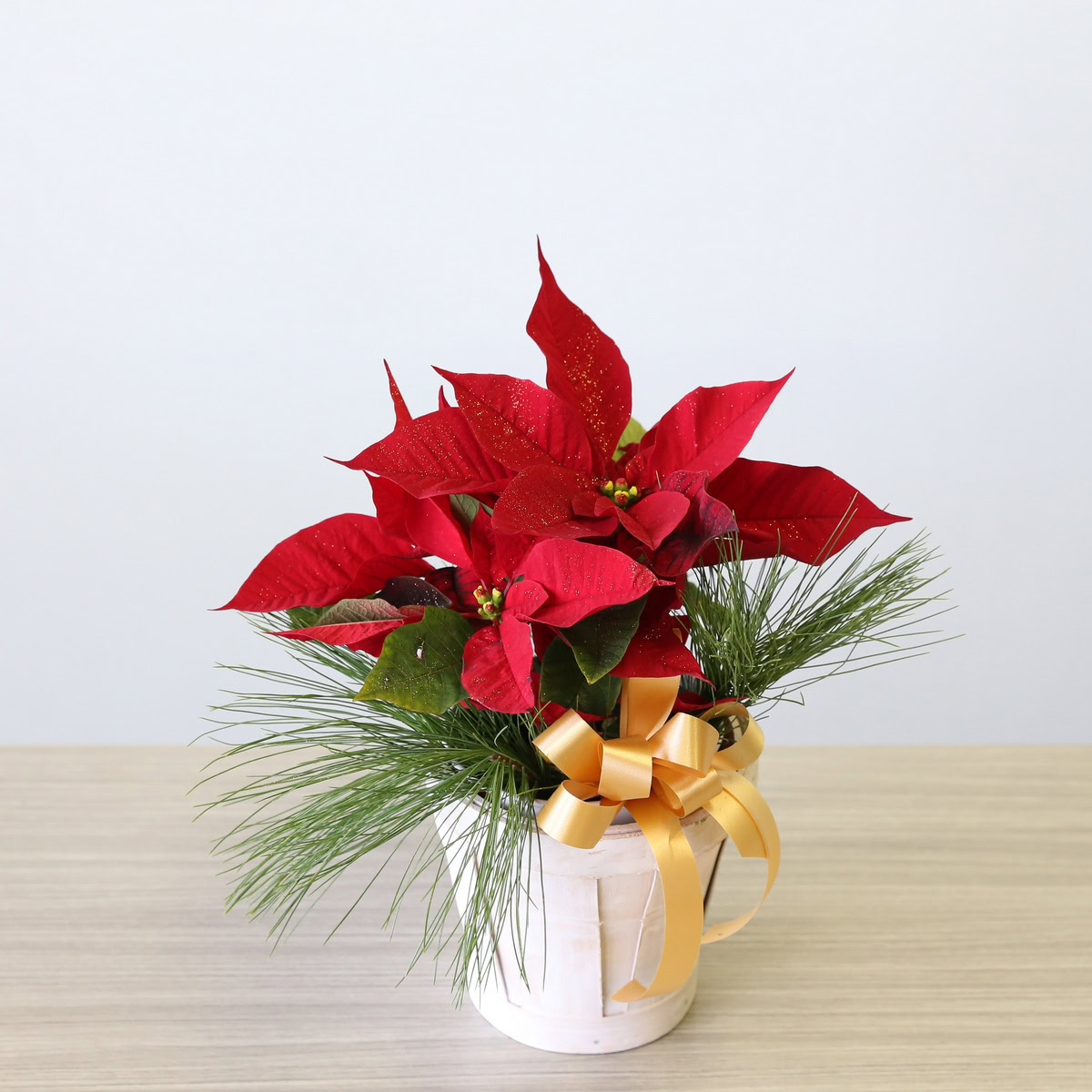 4" Poinsettia