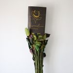 Rainbow Roses (Bulk)