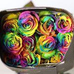 Rainbow Roses (Bulk)