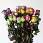 Rainbow Roses (Bulk)