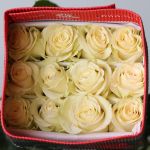 Mondial Roses 60cm (Bulk)