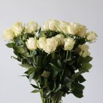 Mondial Roses 60cm (Bulk)