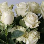 Mondial Roses 60cm (Bulk)